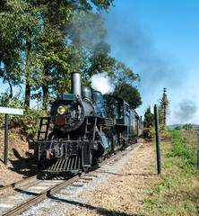 Obraz premium Steam Locomotive on a Sunny Summer Day