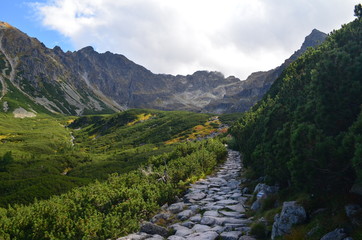 Tatry, widok na Orlą Perć z niebieskiego szlaku nad Czarny Staw Gąsienicowy