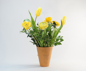 yellow spring flowers