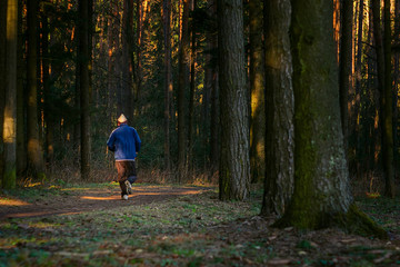 Fototapeta premium Man trail running in the forest. Morning jogging in the thicket of the forest. Silhouette of an athlete running in the park