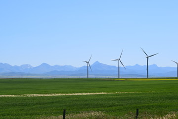 Fototapeta na wymiar Turbines in the fields