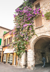 Fototapeta na wymiar SIRMIONE, ITALY Facade of house in center of Sirmione with flowering pink bougainvillea.traditional summer facade decoration of an old house in Italy, italy street.Old house covered by ivy
