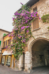 Fototapeta na wymiar SIRMIONE, ITALY Facade of house in center of Sirmione with flowering pink bougainvillea.traditional summer facade decoration of an old house in Italy, italy street.Old house covered by ivy
