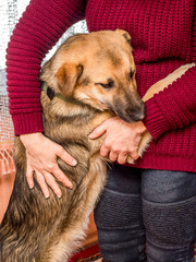 Obraz premium woman hugs dog that clung to her, an expression of love and devotion