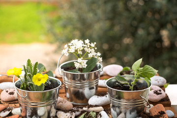 Frühling- Pflanzzeit