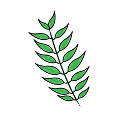 tropical leaf green spring season eco nature vector illustration drawing design