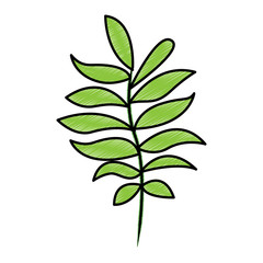 tree branch with green leaves plant natural vector illustration drawing design