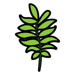 tree branch with green leaves plant natural vector illustration