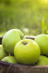 Apples in grass