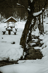 river park in the mountain