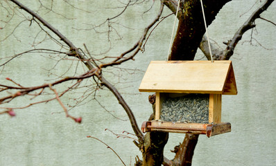 Wooden Bird feeders  in the garden for winter time