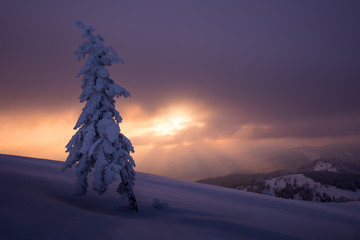 Winter sunset in Slovakia. Velka Fatra mountains under snow. Frozen snowy trees and dark sky panorama.