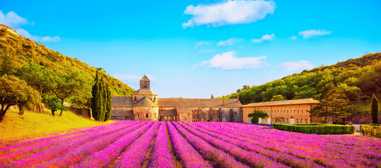 Abbey of Senanque blooming lavender flowers panoramic view. Gordes, Luberon, Provence, France.