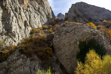 Canyon mountains jungle stream place shapes are wonderful