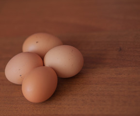 Close up of fresh chicken egg on wooden table with copy space