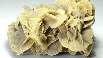 Desert rose on a turn table