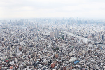 Walk the streets of Tokyo