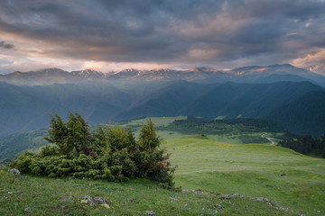 Lovely morning in Omalo village (Tusheti, Georgia).  Bush on the foregound, hills and forest on the midground. First sunrise light just kisses the top the mountains on the background.