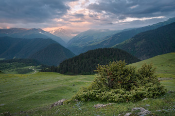 Lovely morning in Omalo village (Tusheti, Georgia).  Bush on the foregound, hills and forest on the midground. First sunrise light just kisses the top the mountains on the background.