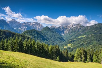 Solcava Panoramic Road in Summer © zkbld