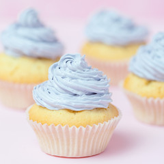 Cupcake decorated with violet buttercream on pastel pink background. Sweet beautiful cake. Square banner, greeting card for birthday, wedding, women's day. Close up photography. Selective focus