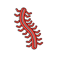 hacker virus worm digital information vector illustration