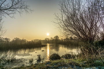 nature reserve in winter at sunrise with ice and frost