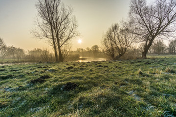 nature reserve in winter at sunrise with ice and frost