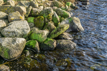 lake shore with rocks in winter with sunshine