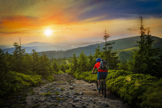 Mountain biker riding at sunset on bike in summer mountains forest landscape. Man cycling MTB flow trail track. Outdoor sport activity.