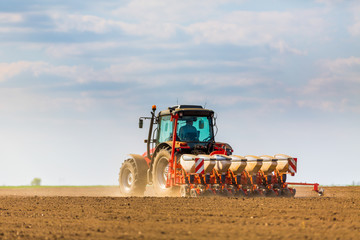 Fototapeta premium Farmer seeding, sowing crops at field. Sowing is the process of planting seeds in the ground as part of the early spring time agricultural activities.