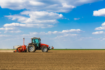Obraz premium Siew rolnik, siew roślin na polu. Siew to proces sadzenia nasion w gruncie w ramach wczesnej wiosny.