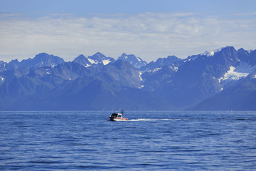Kenai Fjords National Park, Alaska, USA