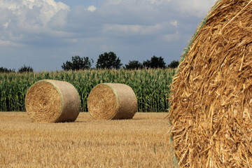 Strohballen auf dem Feld in Straelen Deutschland