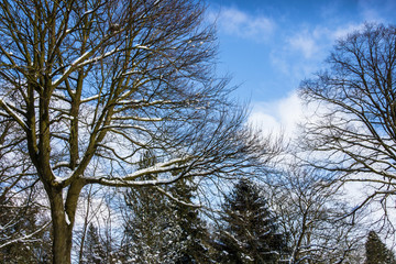 Winter -  Natur