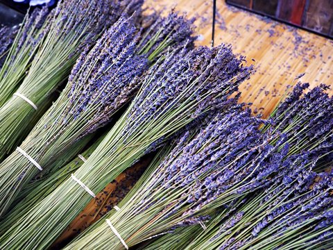 Bunch, bouquet of fresh lavender flowers, cut put on a wooden desk.  Good smell plants, stall 