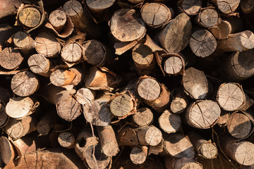 stacked old firewood from spruce