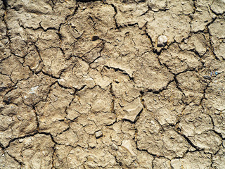 Texture of cracked earth. Crack soil on dry season. Drought and bright sun, salt of    the ground. Drought, crop failure, environmental problems