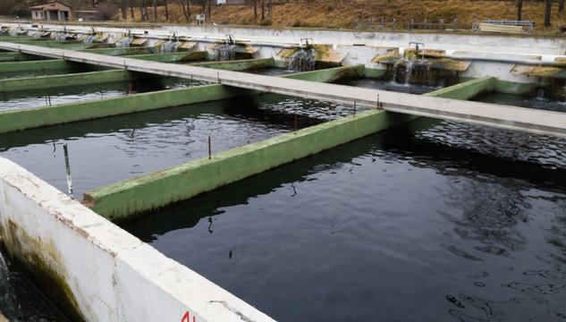 Opened reservoirs of fish farm