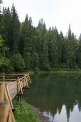 Fototapeta na wymiar Synevyr mountain lake