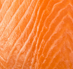 Salmon Fillet Texture