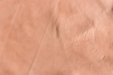 Fototapeta premium natural undyed Italian lambskin leather for background use