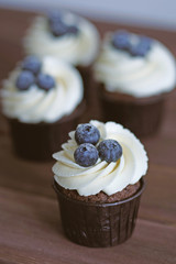 Homemade Sweet Cupcakes