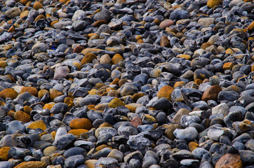 Steinstrand an der Ostsee