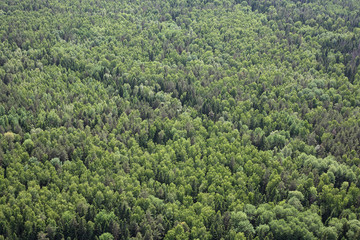 Fototapeta na wymiar Aerial Views - Russian mixed coniferous forest