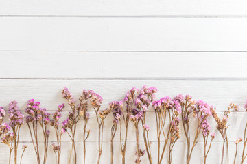 dried flowers on white wooden planks background
