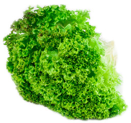 Fototapeta na wymiar Fresh lettuce isolated on white background. With clipping path