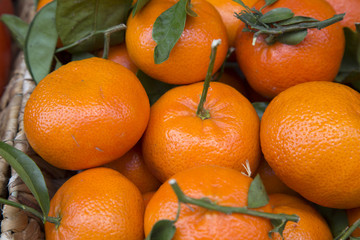 Mandarin Oranges for Sale on Market Stall, Majorca, Spain