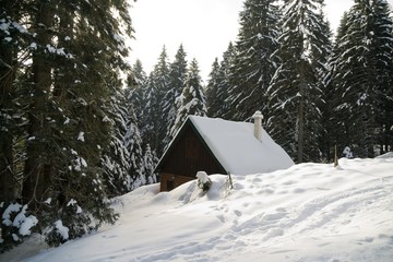 Hut hidden in the woods in snow during winter. Slovakia