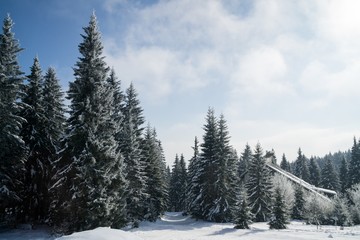 Nature covered in snow during deep winter. Slovakia	